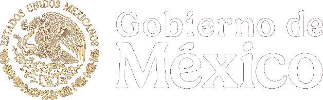 Gobierno de México